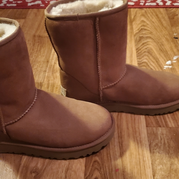 Brand new uggs - Picture 3 of 6